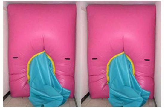 點(diǎn)擊查看詳細(xì)信息<br>標(biāo)題：快速封堵氣囊 閱讀次數(shù)：2726